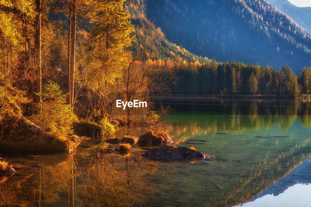 Romantic autumn at hintersee, a district of the municipality of ramsau near berchtesgaden.