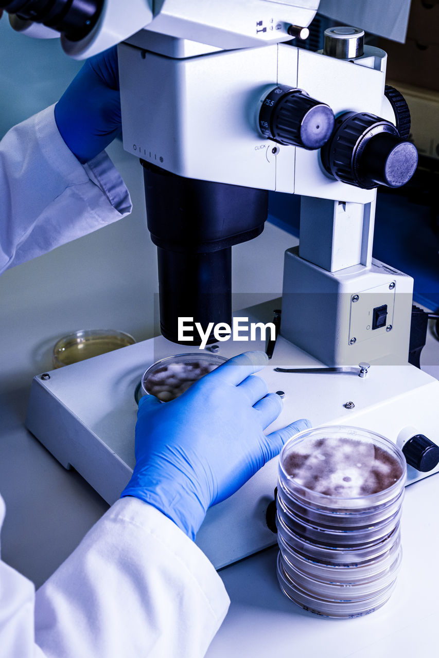 Cropped hands of scientist holding petri dish on microscope