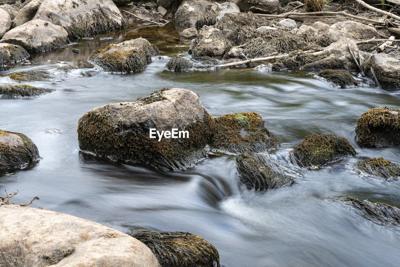 The flowing water of svartån going through the woods in the spring