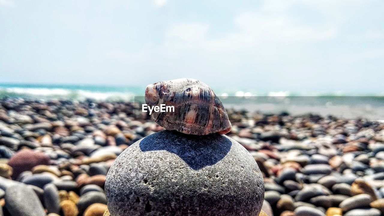 Close-up of stones on beach