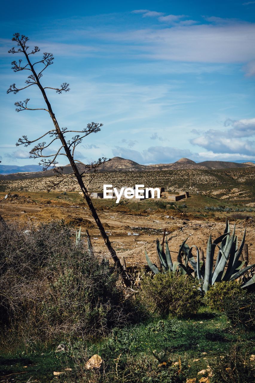 Scenic view of landscape against cloudy sky