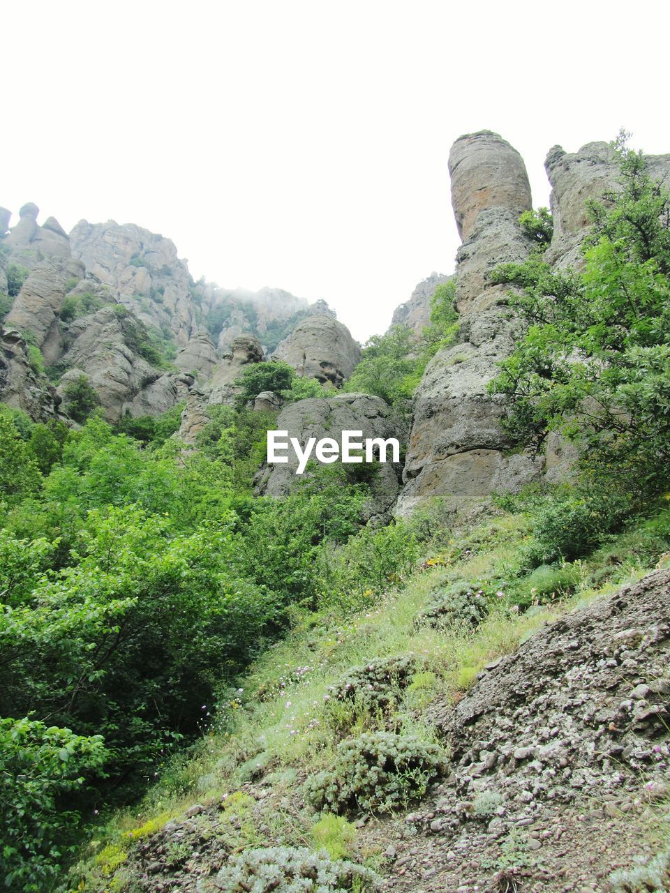 SCENIC VIEW OF MOUNTAIN AGAINST CLEAR SKY