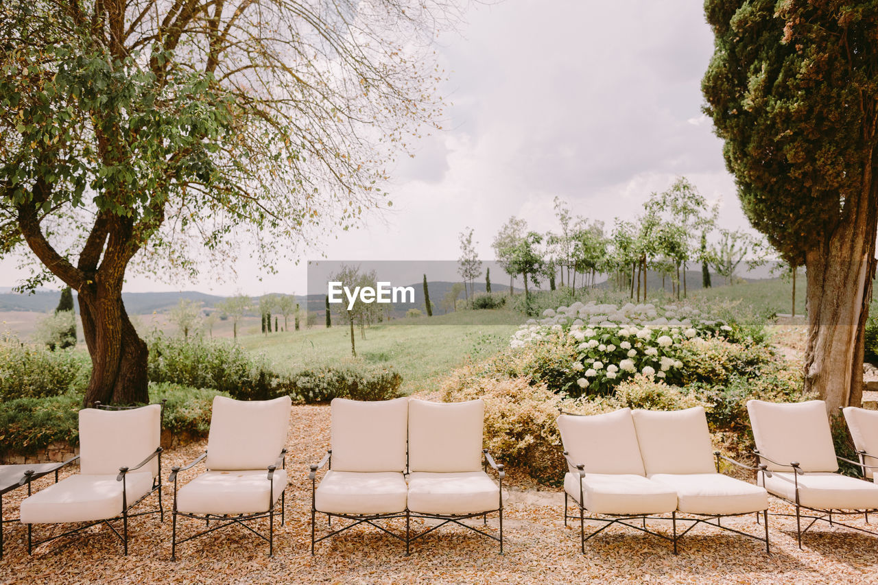 EMPTY CHAIRS AND TABLE AGAINST TREES