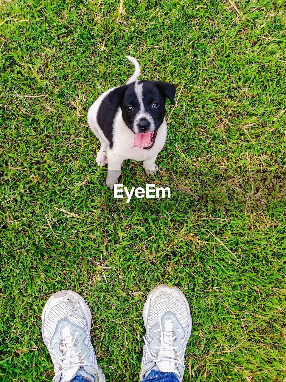 low section of person standing on grass