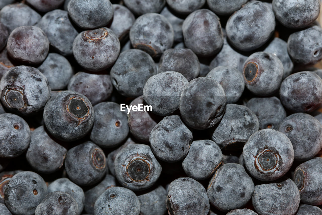 Full frame shot of blueberries