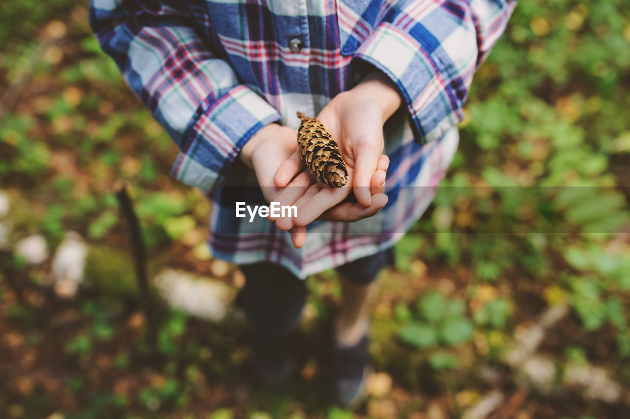 Low section of woman holding pine cone while standing on field