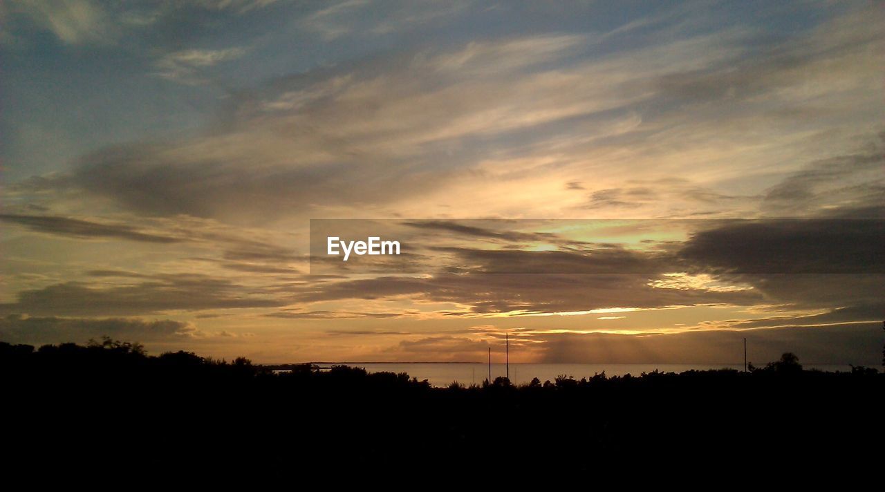 SCENIC VIEW OF SILHOUETTE TREES AGAINST SKY AT SUNSET