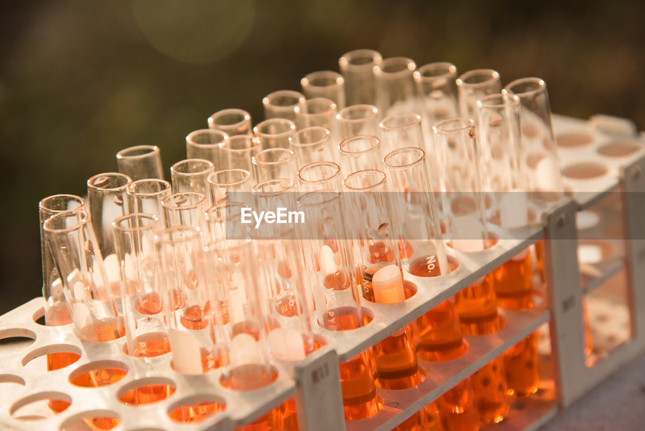 Close-up of test tubes on rack at laboratory