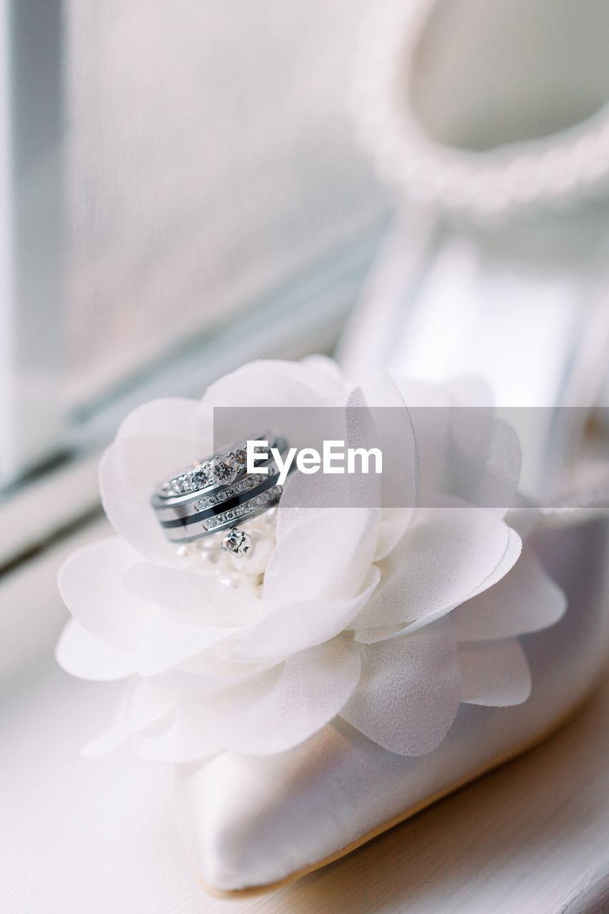 CLOSE-UP OF ROSE ON WHITE TABLE