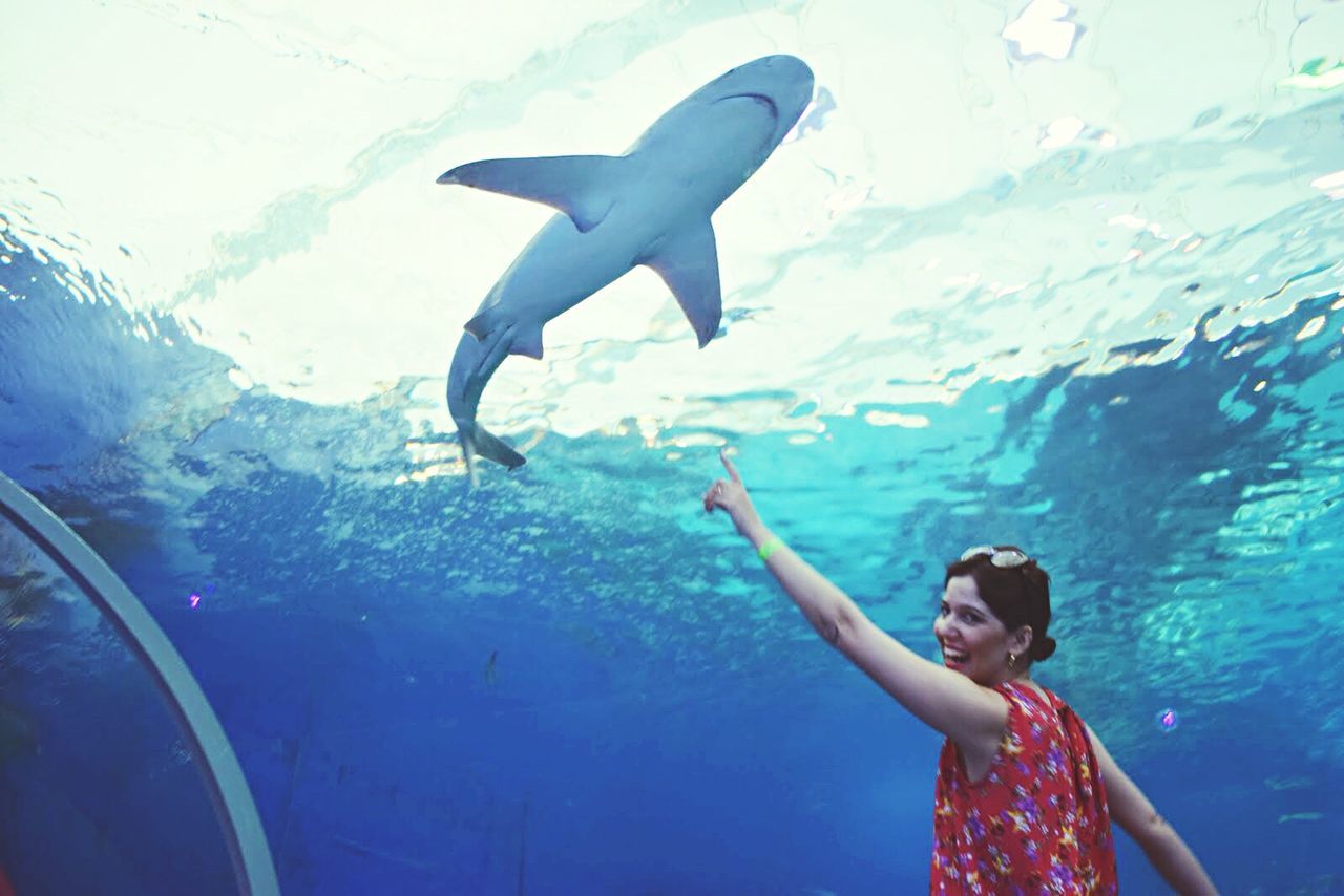 Smiling woman pointing at shark through glass in aquarium