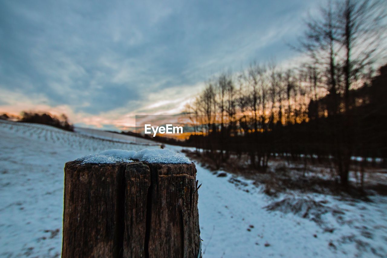 FROZEN WOODEN POSTS IN LAKE DURING WINTER