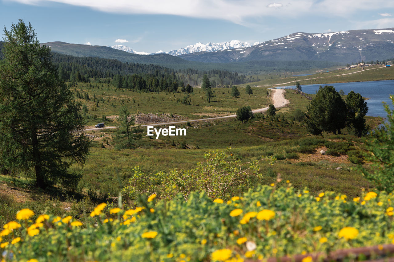 Scenic view of landscape and mountains