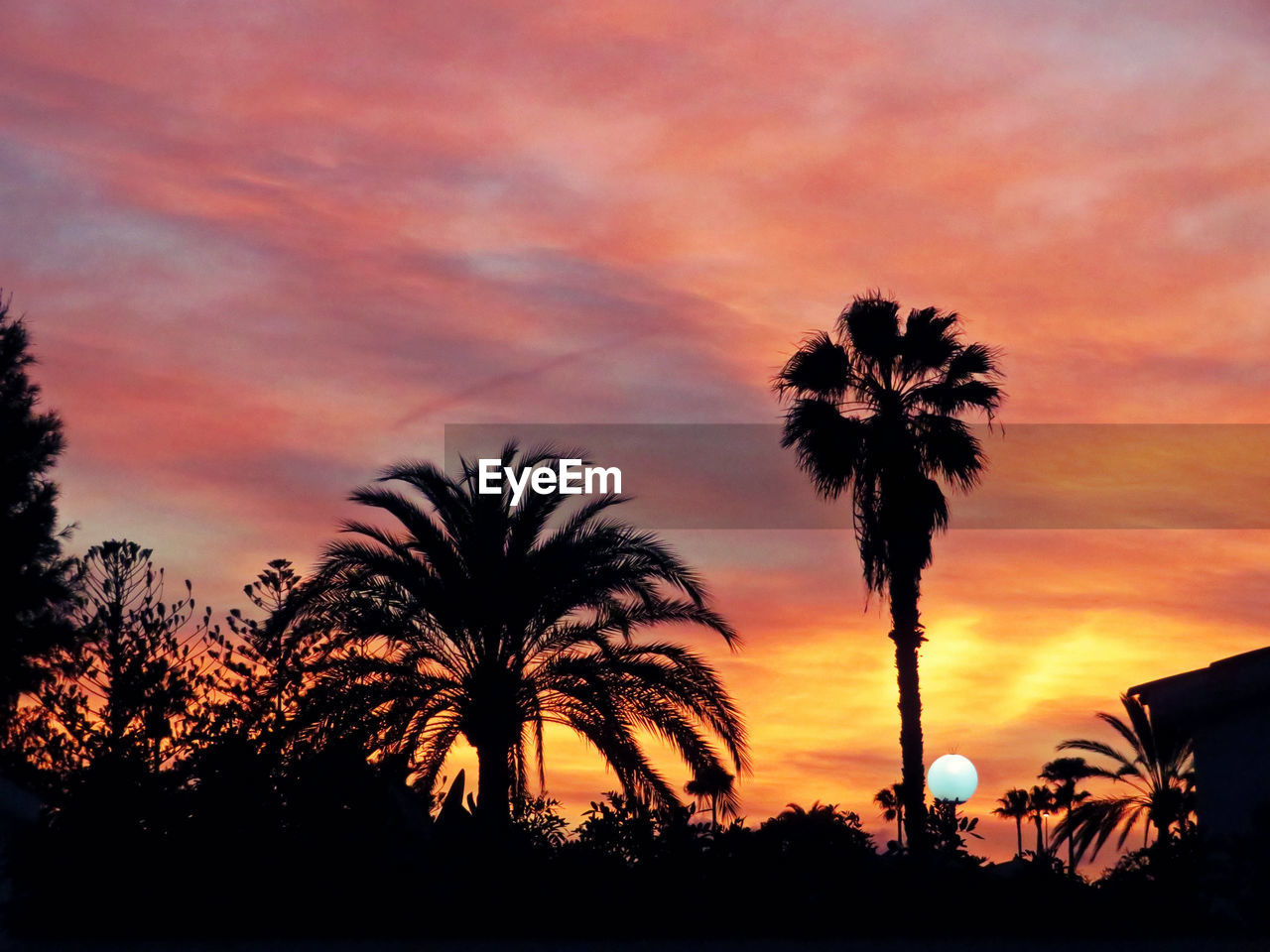 LOW ANGLE VIEW OF SILHOUETTE PALM TREES AGAINST ROMANTIC SKY