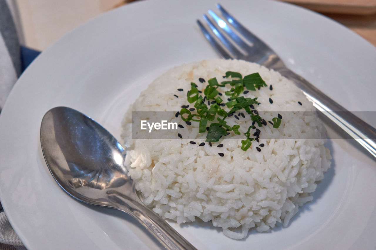 Rice serving on the white plate