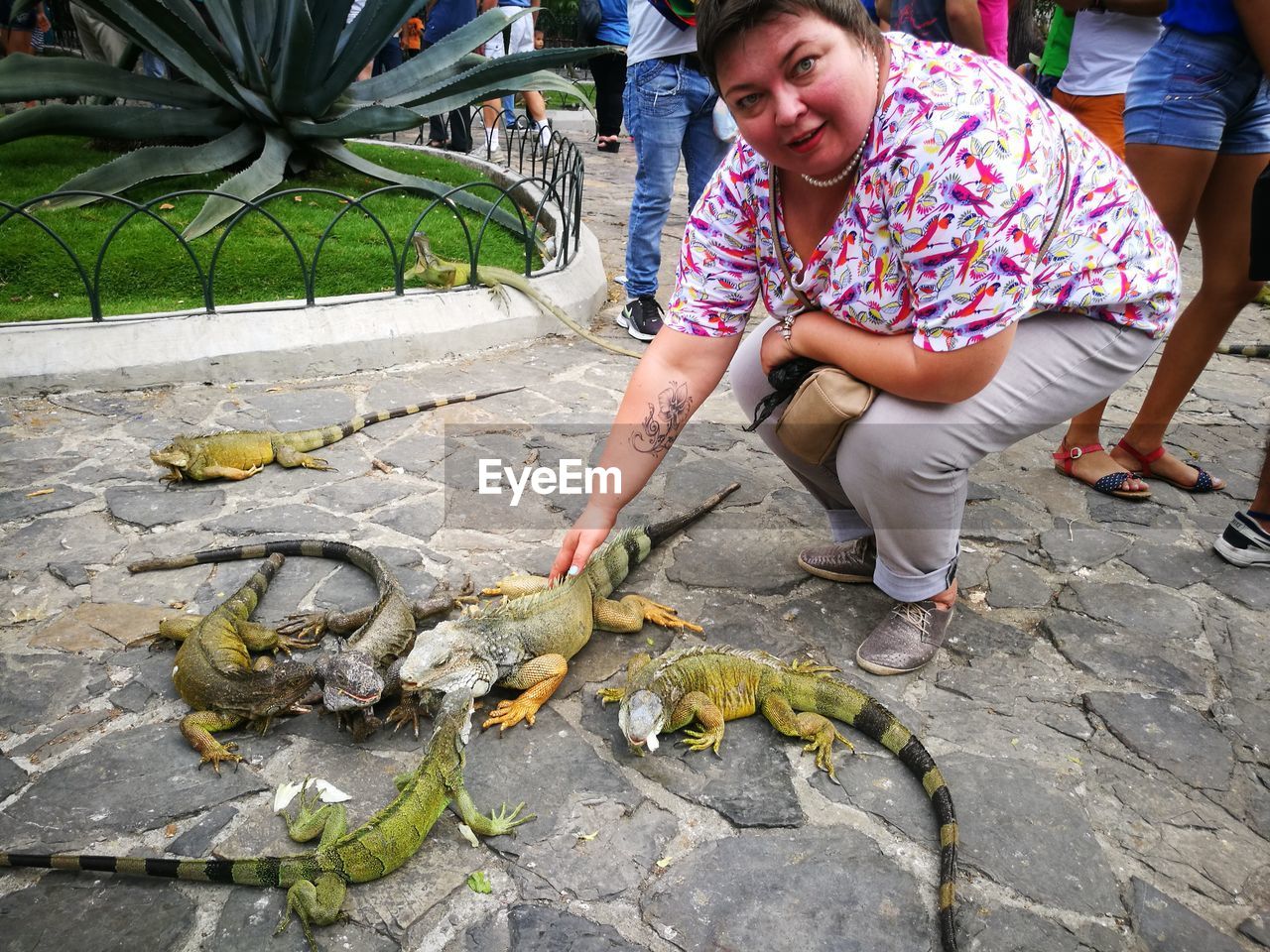 Portrait of woman playing with iguanas at park