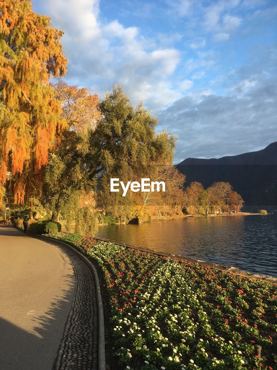 Scenic view of trees against sky during autumn