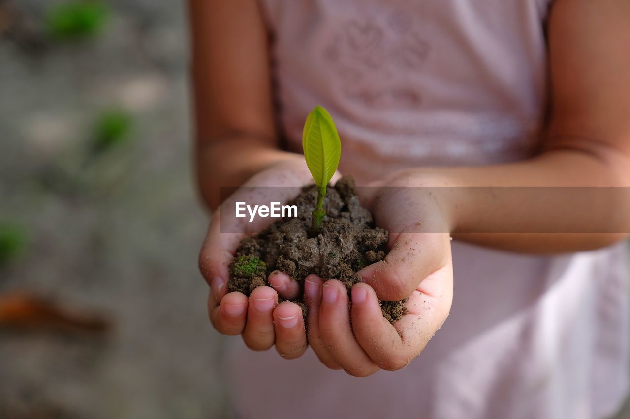 Midsection of girl holding plant