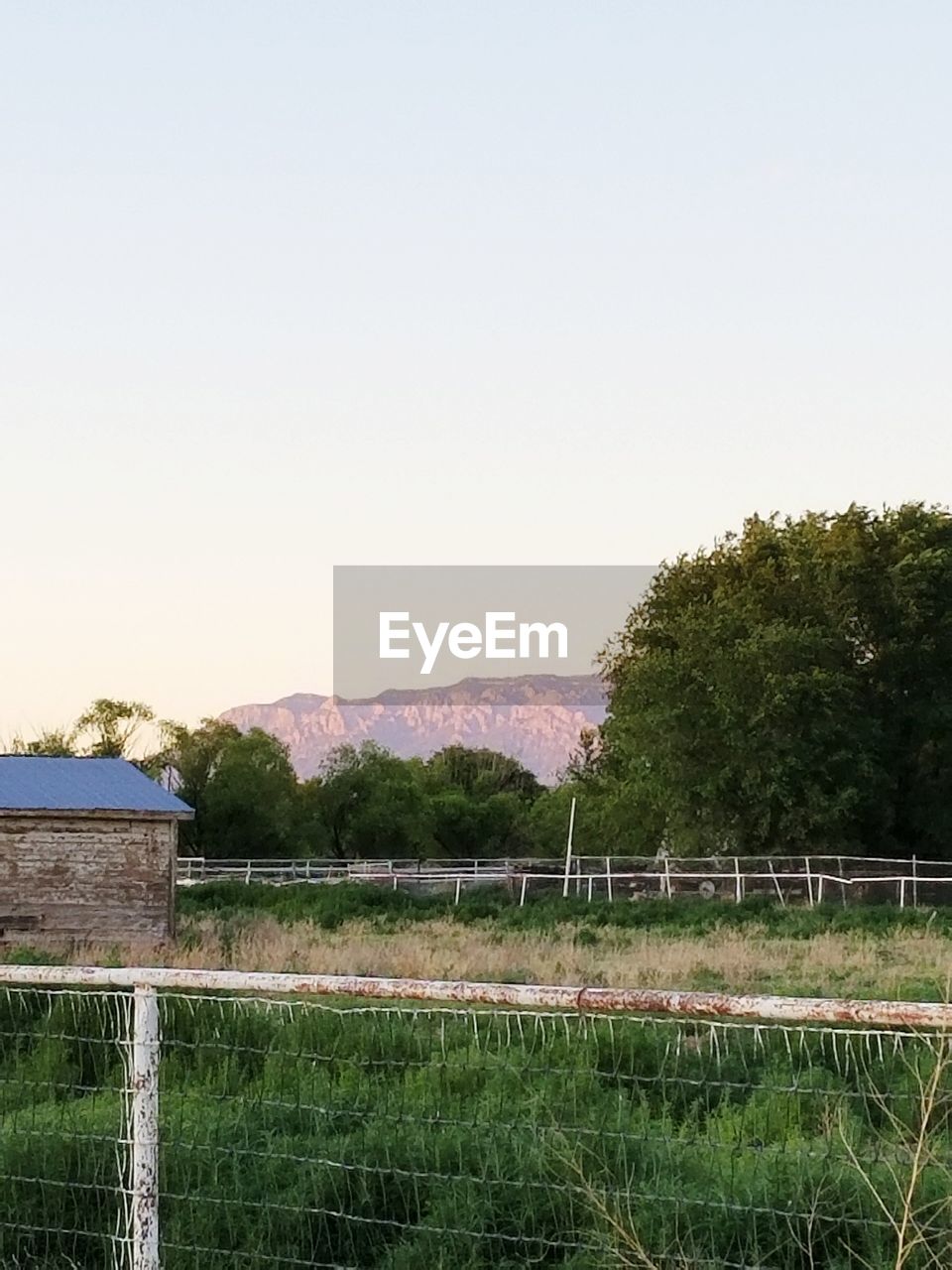 SCENIC VIEW OF TREE BY MOUNTAINS AGAINST CLEAR SKY