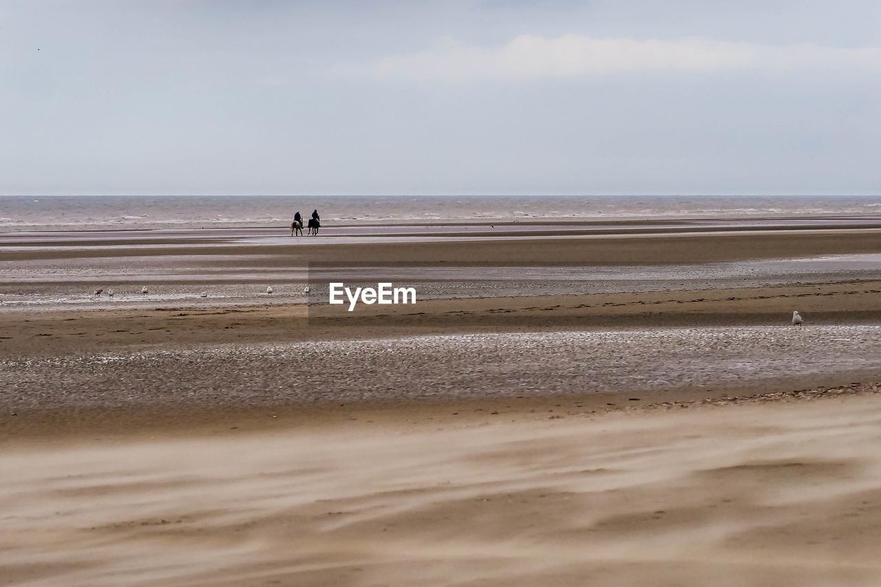 Two horseback riders taking a ride at an empty beach