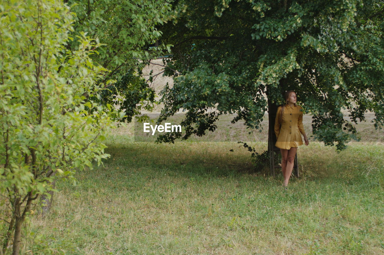 Rear woman standing against tree in forest