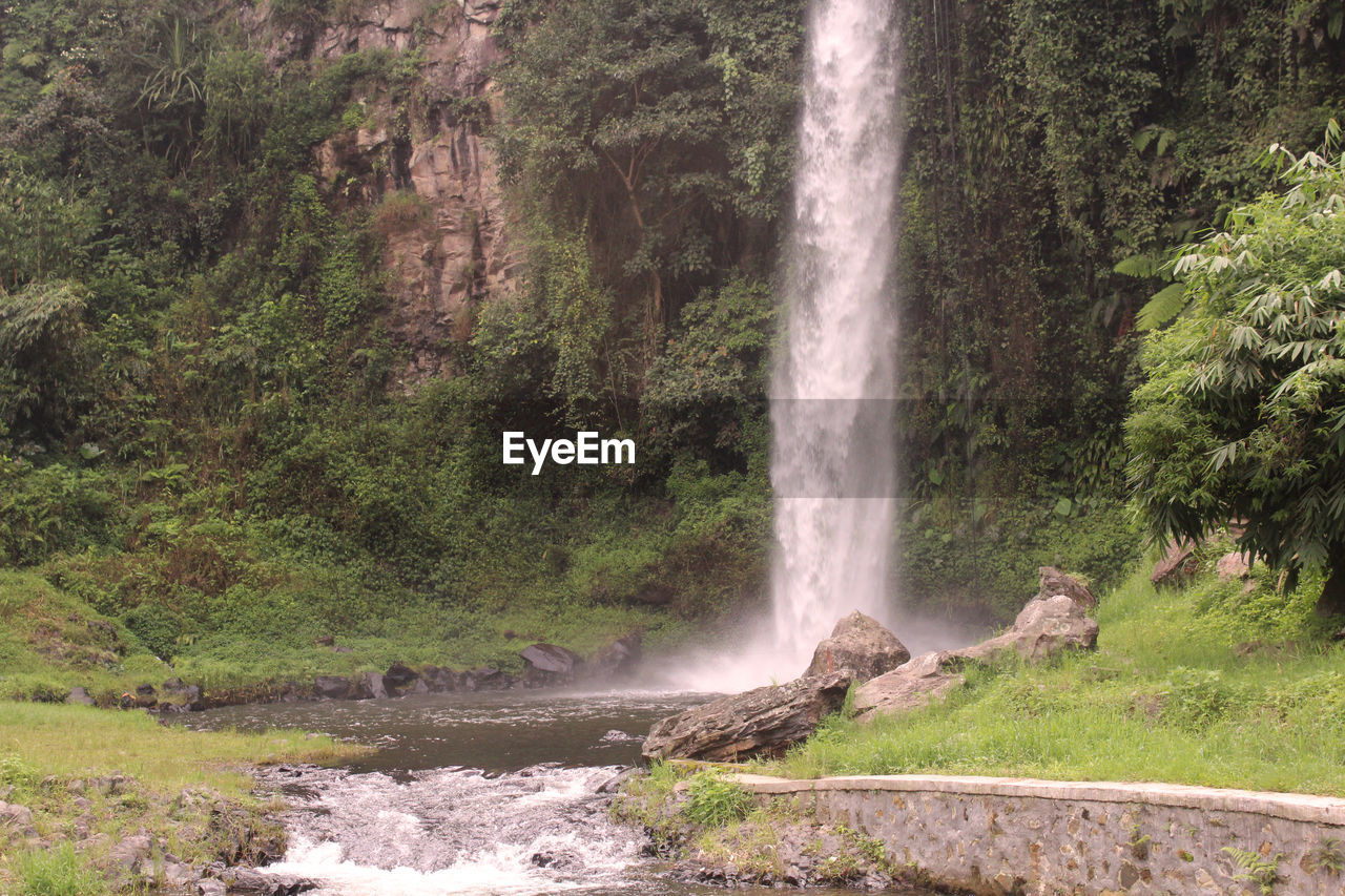 Scenic view of waterfall