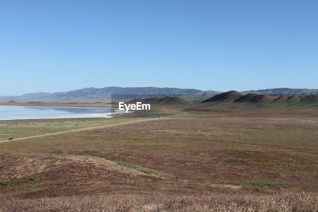 Superbloom in spring carrizo plain national monument, california