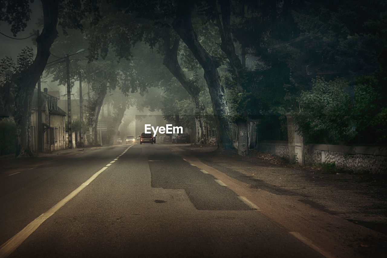 CARS ON ROAD AGAINST TREES