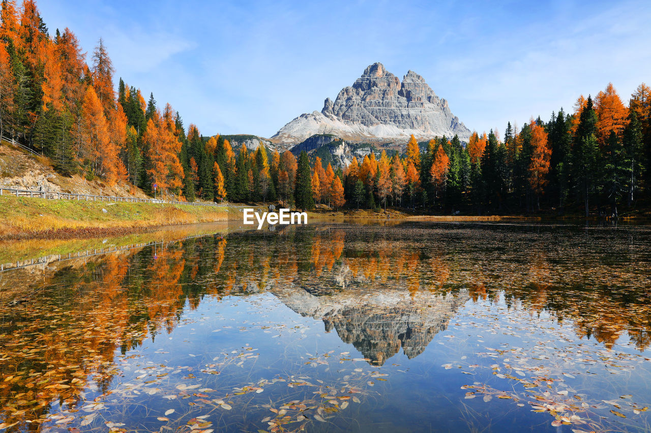 Scenic view of lake by trees against sky during autumn