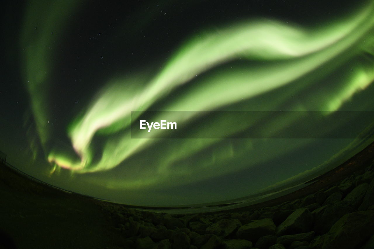 CLOSE-UP OF ILLUMINATED LEAF AGAINST SKY AT NIGHT