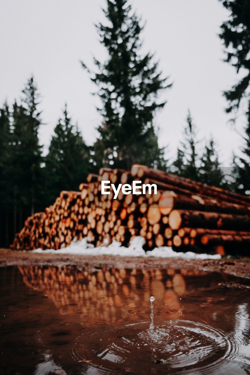 View of log in lake against sky during winter