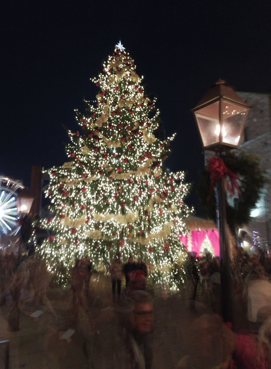 LOW ANGLE VIEW OF ILLUMINATED CHRISTMAS TREE
