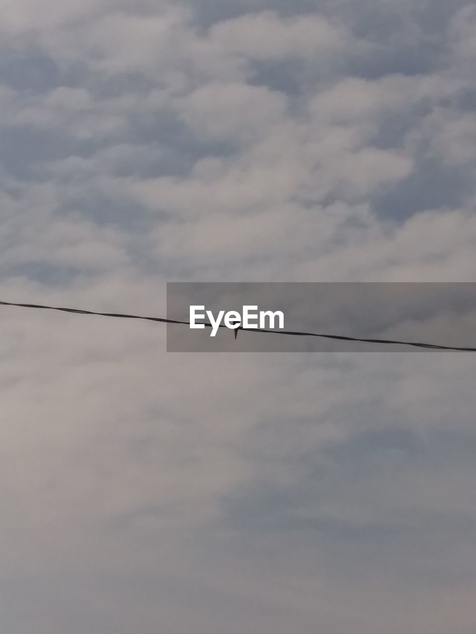 LOW ANGLE VIEW OF BIRD PERCHING ON CABLE AGAINST SKY