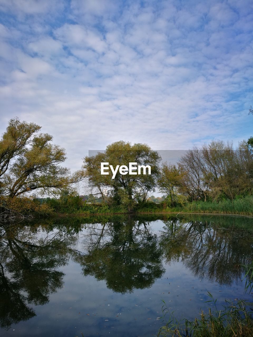 Reflection of trees in lake against sky