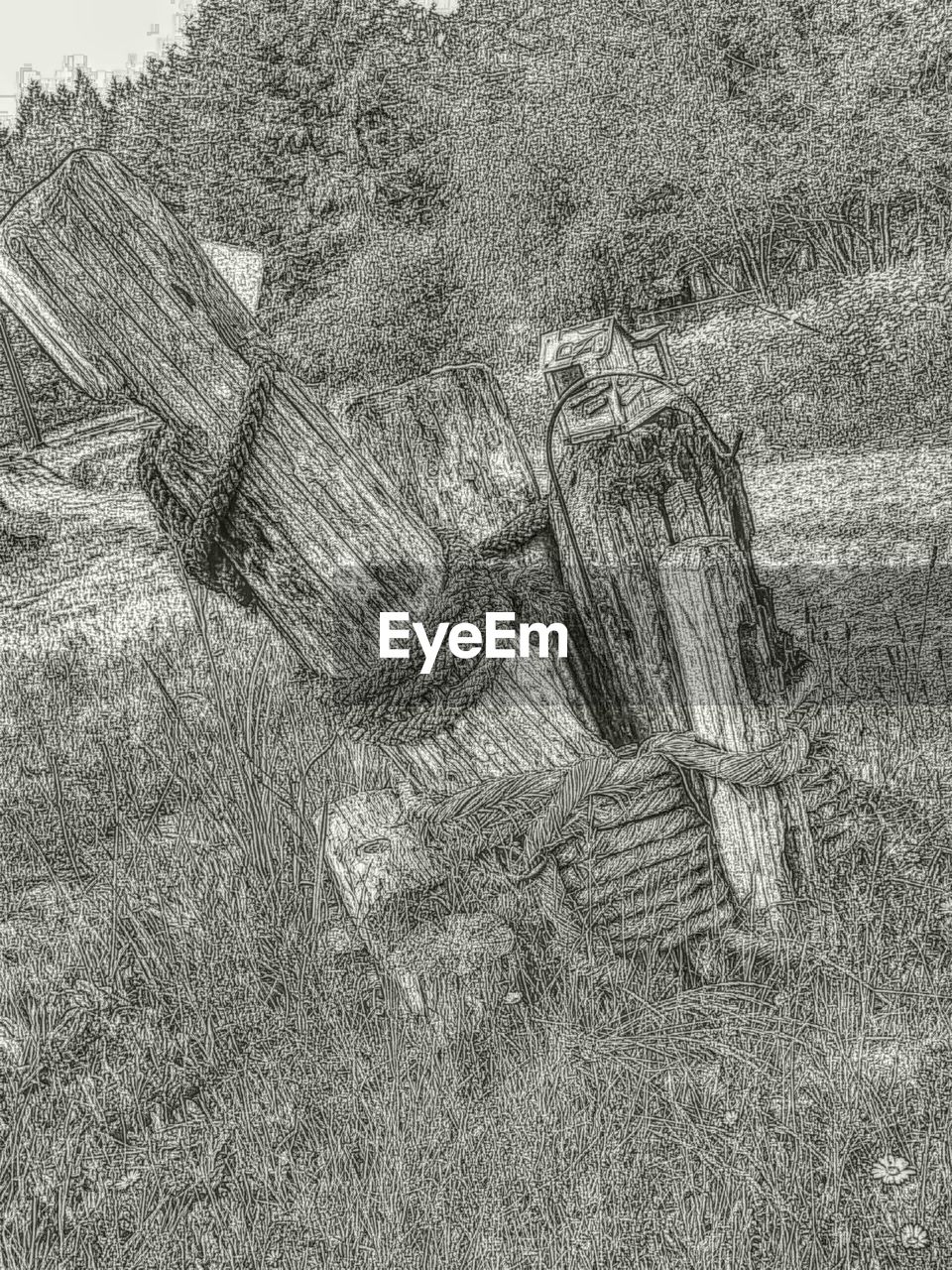 field, no people, high angle view, outdoors, day, nature, grass, hay bale, close-up