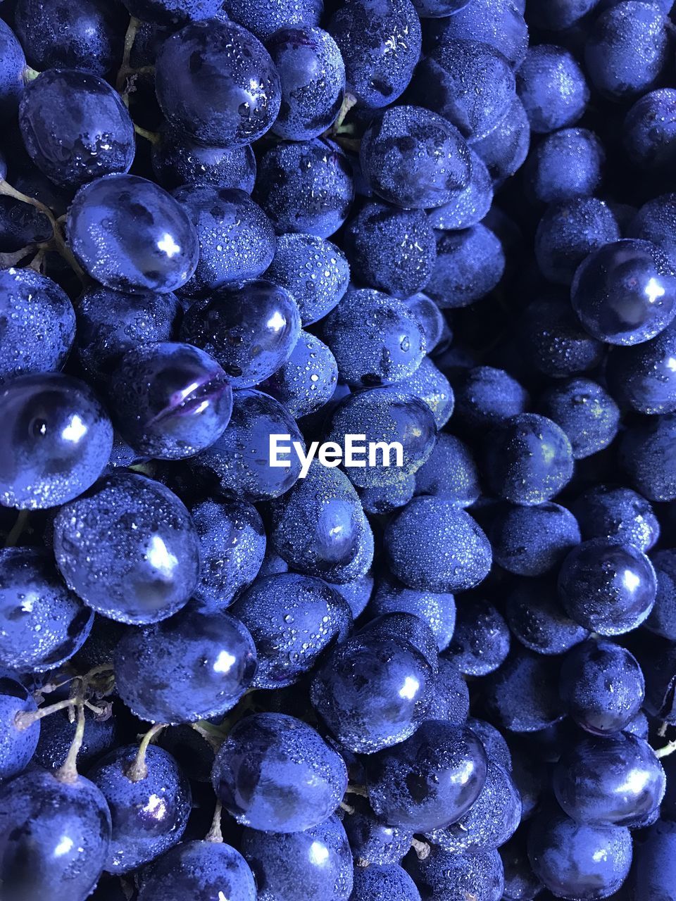 FULL FRAME SHOT OF WET BLUE BERRIES