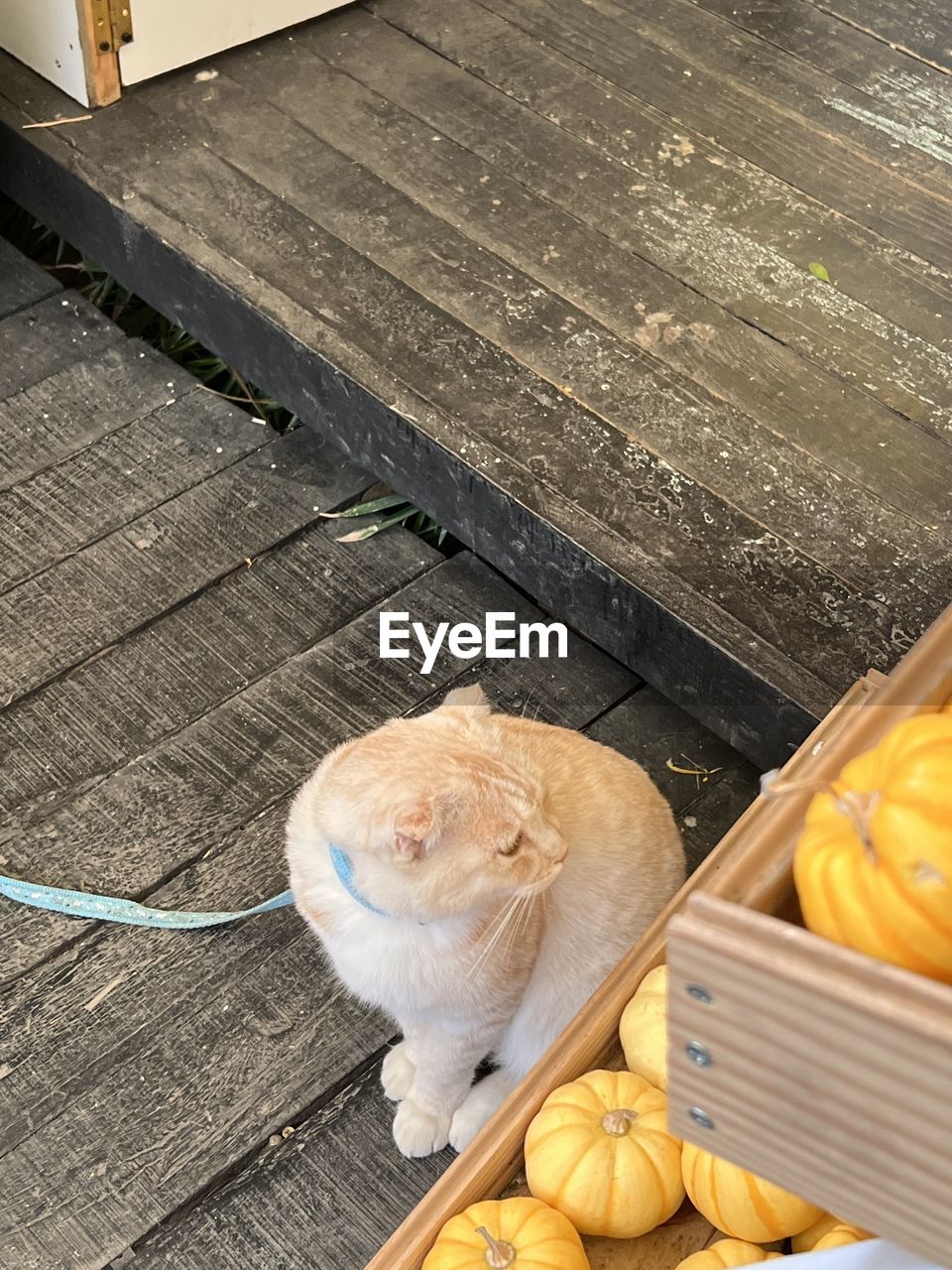 high angle view of food