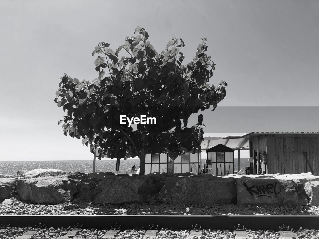 black and white, sky, nature, monochrome photography, tree, monochrome, plant, architecture, day, water, no people, outdoors, sea, land, built structure, beach, clear sky