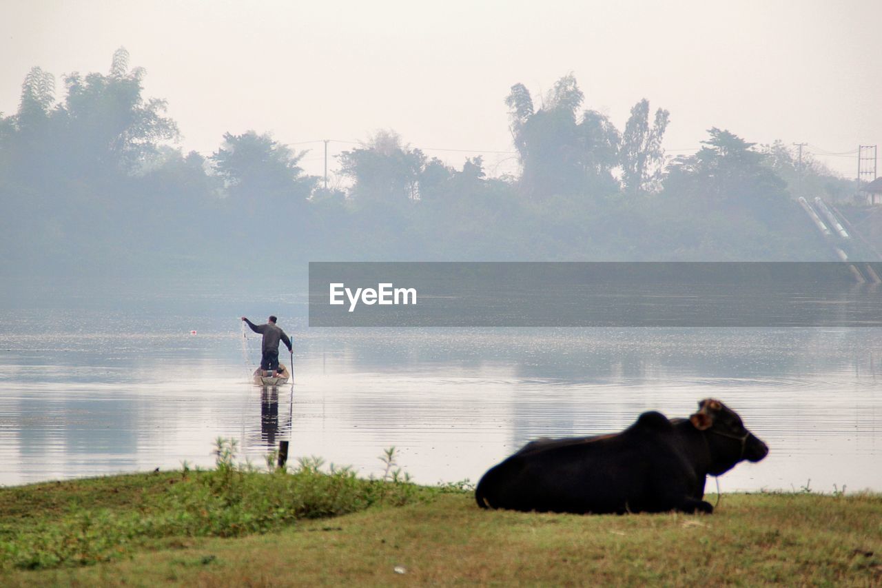 MAN WITH DOG STANDING BY LAKE