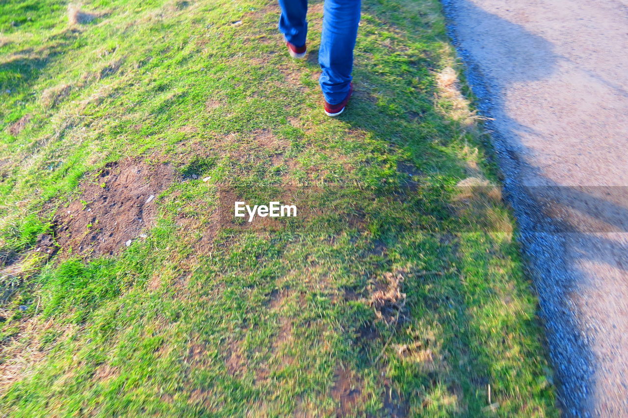 LOW SECTION OF MAN WEARING GRASS