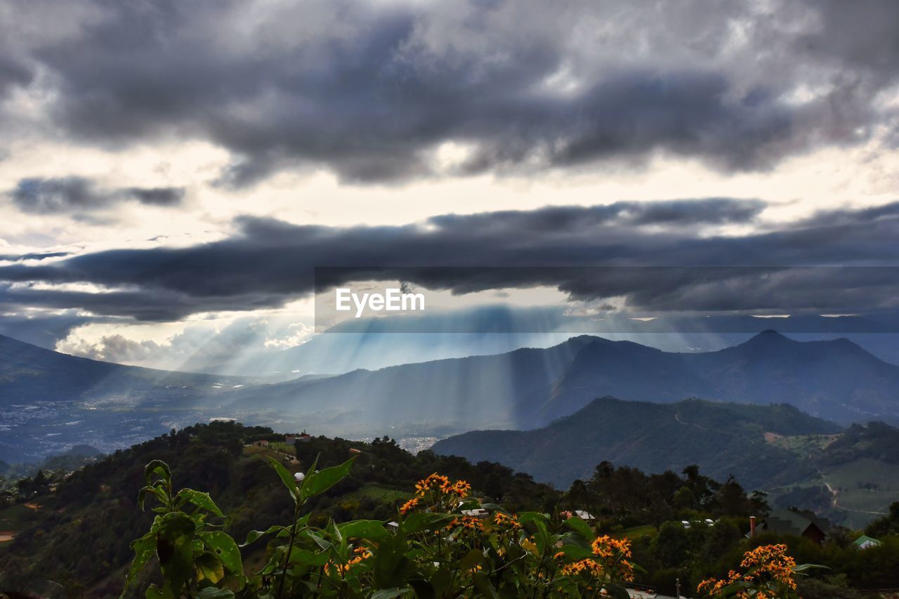 environment, nature, cloud, mountain, sky, landscape, scenics - nature, beauty in nature, land, mountain range, morning, sunlight, travel, plant, fog, travel destinations, horizon, tree, no people, outdoors, mountain peak, forest, dramatic sky, wilderness, tourism, cloudscape, sun, tranquility, sunbeam, valley, non-urban scene, plateau, overcast, trip
