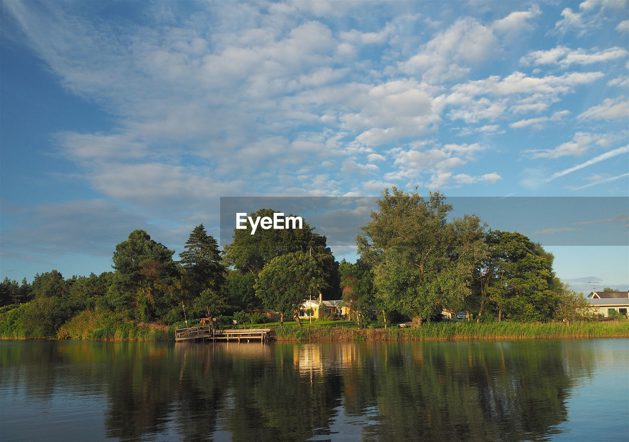 TREES BY LAKE AGAINST SKY