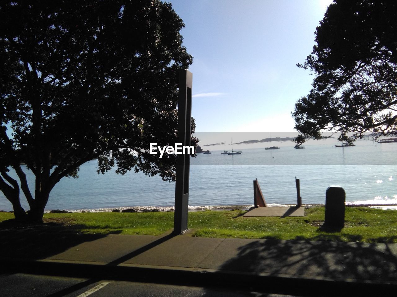 tree, water, sea, nature, day, no people, sky, tranquil scene, tranquility, scenics, beauty in nature, sunlight, outdoors, grass, horizon over water