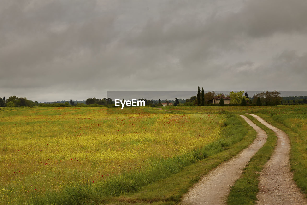 SCENIC VIEW OF FARM AGAINST SKY