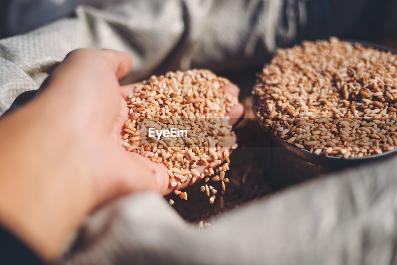 Cropped hand of person holding rice