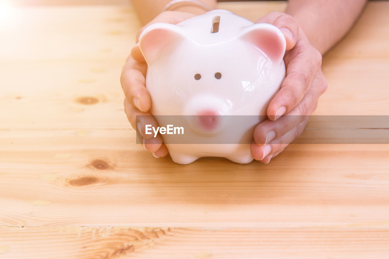 Cropped hands of man holding piggy bank on table