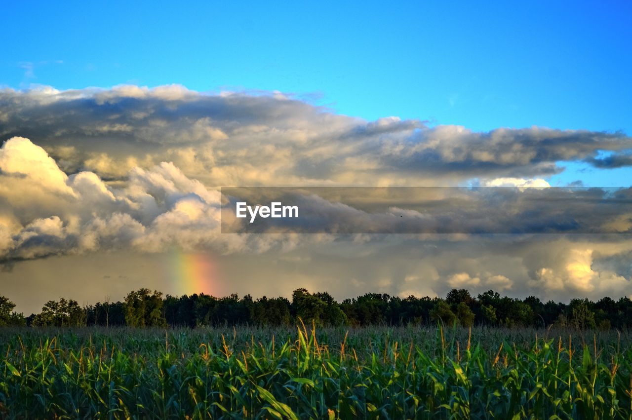 SCENIC VIEW OF LANDSCAPE AGAINST CLOUDY SKY