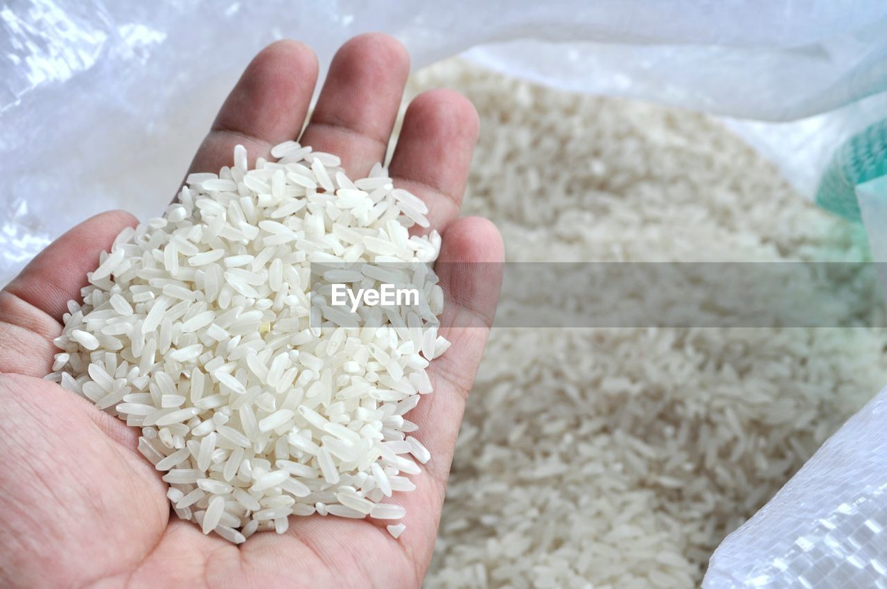 Close-up of hand holding rice