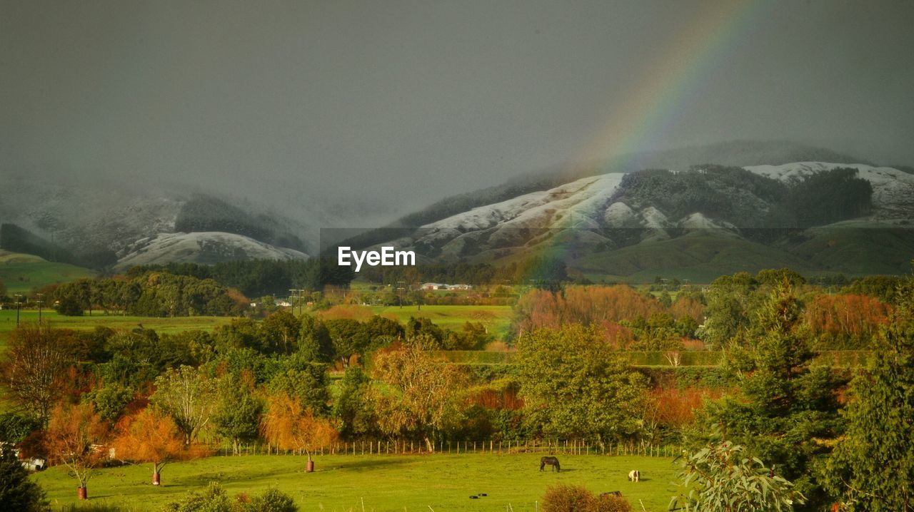 Rainbow over countryside landscape