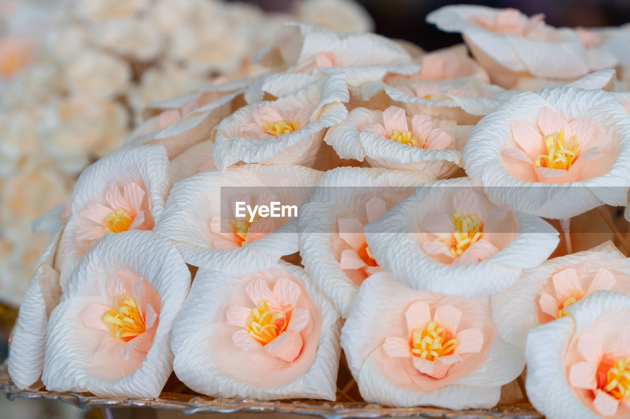 flower, flowering plant, plant, freshness, beauty in nature, yellow, food and drink, nature, petal, food, no people, close-up, celebration, fragility, outdoors, white, blossom, flower head