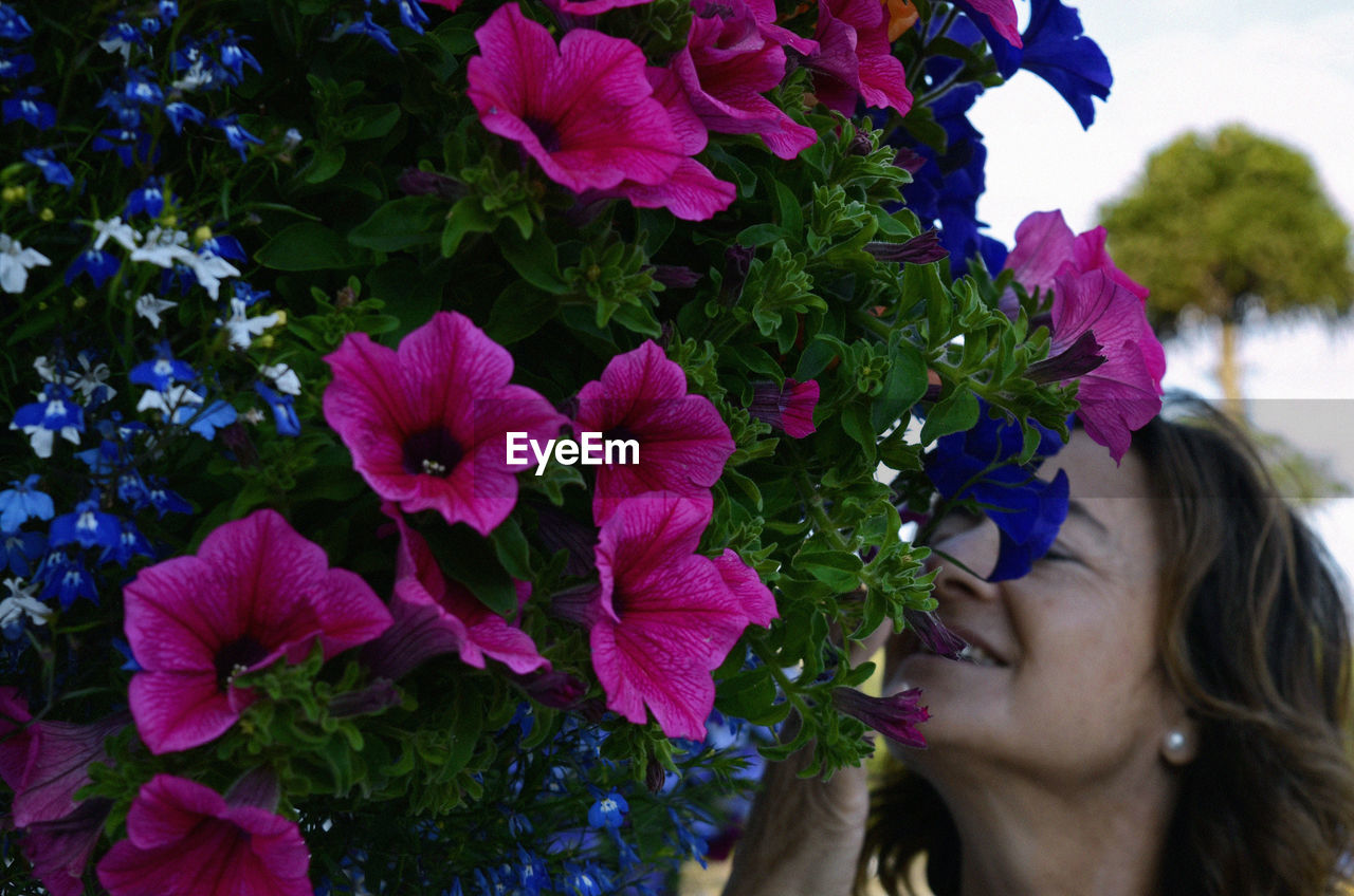 CLOSE-UP OF FLOWERS WITH PERSON IN BACKGROUND